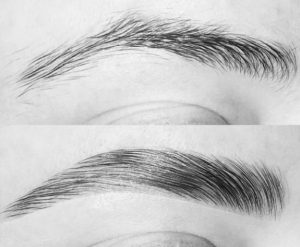 Laminated brows